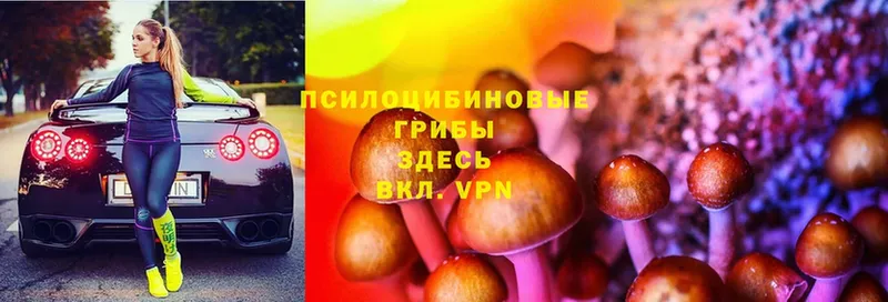 даркнет сайт  Гудермес  МЕГА ссылки  Галлюциногенные грибы Psilocybine cubensis 